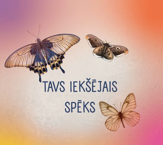 Iekšējais spēks